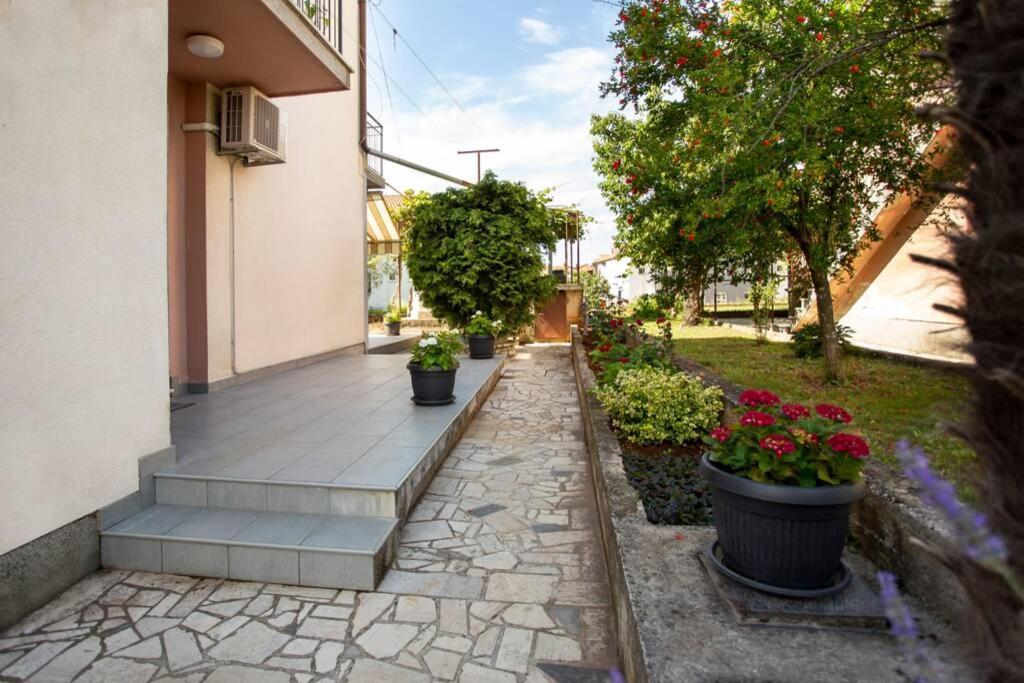 Herak - Smoljan Rovinj Bagian luar foto